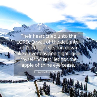 Picture 05 - Lamentations 2:18 KJV - Their heart cried unto the LORD, O wall of the - Bible Verse Picture