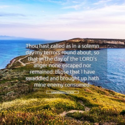 Picture 05 - Lamentations 2:22 KJV - Thou hast called as in a solemn day my terrors - Bible Verse Picture