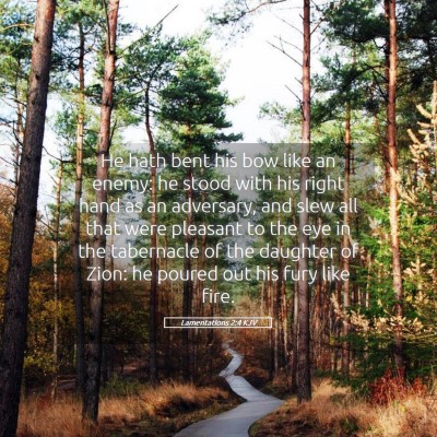 Picture 05 - Lamentations 2:4 KJV - He hath bent his bow like an enemy: he stood with - Bible Verse Picture