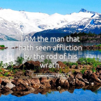 Picture 05 - Lamentations 3:1 KJV - I AM the man that hath seen affliction by the rod - Bible Verse Picture