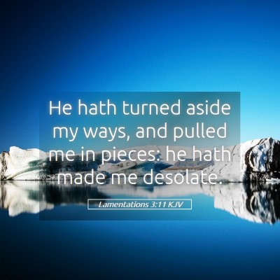 Picture 05 - Lamentations 3:11 KJV - He hath turned aside my ways, and pulled me in - Bible Verse Picture