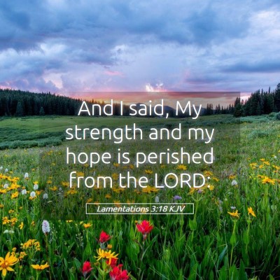 Picture 05 - Lamentations 3:18 KJV - And I said, My strength and my hope is perished - Bible Verse Picture