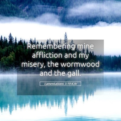 Picture 05 - Lamentations 3:19 KJV - Remembering mine affliction and my misery, the - Bible Verse Picture