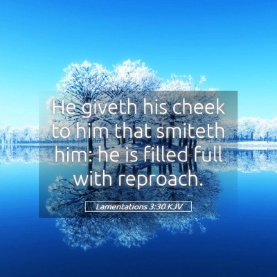 Picture 05 - Lamentations 3:30 KJV - He giveth his cheek to him that smiteth him: he - Bible Verse Picture