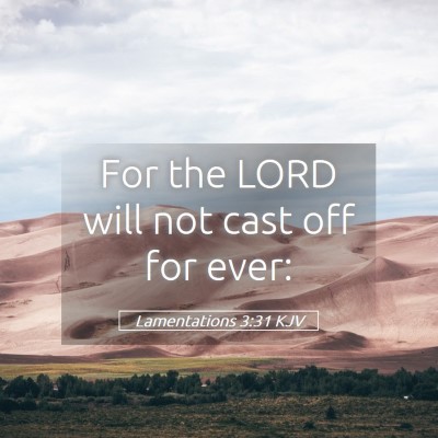 Picture 05 - Lamentations 3:31 KJV - For the LORD will not cast off for - Bible Verse Picture