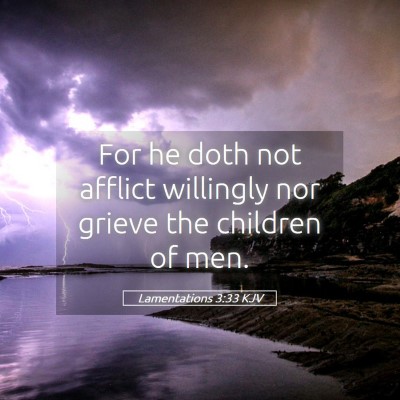 Picture 05 - Lamentations 3:33 KJV - For he doth not afflict willingly nor grieve the - Bible Verse Picture