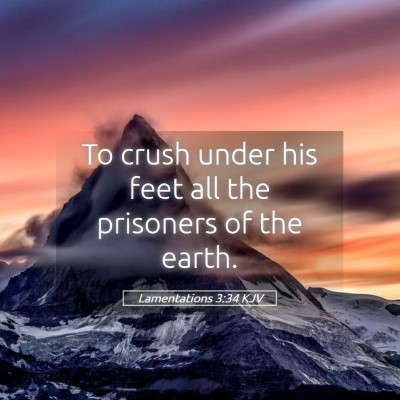 Picture 05 - Lamentations 3:34 KJV - To crush under his feet all the prisoners of the - Bible Verse Picture