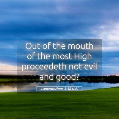 Picture 05 - Lamentations 3:38 KJV - Out of the mouth of the most High proceedeth not - Bible Verse Picture