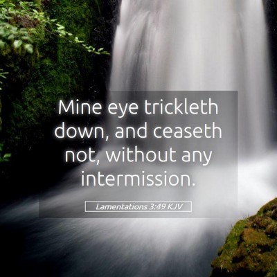 Picture 05 - Lamentations 3:49 KJV - Mine eye trickleth down, and ceaseth not, without - Bible Verse Picture
