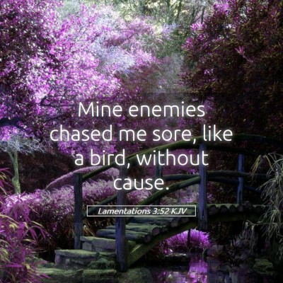 Picture 05 - Lamentations 3:52 KJV - Mine enemies chased me sore, like a bird, without - Bible Verse Picture