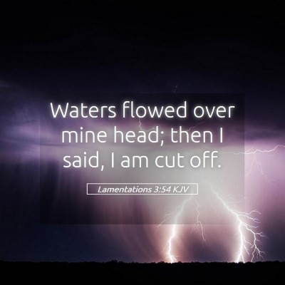 Picture 05 - Lamentations 3:54 KJV - Waters flowed over mine head; then I said, I am - Bible Verse Picture