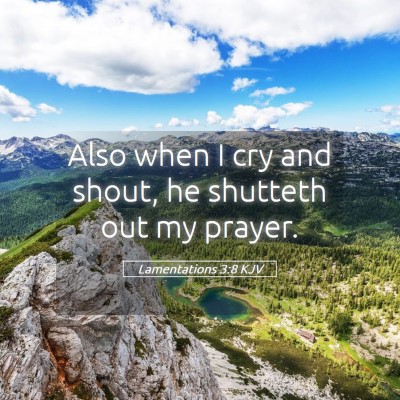 Picture 05 - Lamentations 3:8 KJV - Also when I cry and shout, he shutteth out my - Bible Verse Picture