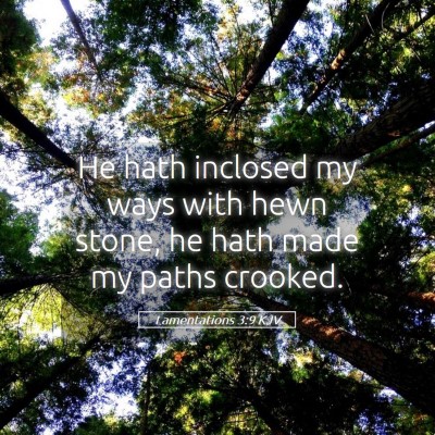Picture 05 - Lamentations 3:9 KJV - He hath inclosed my ways with hewn stone, he hath - Bible Verse Picture