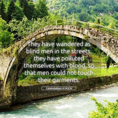 Picture 05 - Lamentations 4:14 KJV - They have wandered as blind men in the streets, - Bible Verse Picture