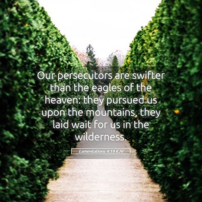 Picture 05 - Lamentations 4:19 KJV - Our persecutors are swifter than the eagles of - Bible Verse Picture