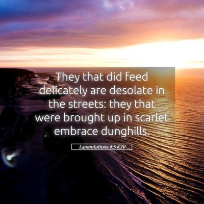 Picture 05 - Lamentations 4:5 KJV - They that did feed delicately are desolate in the - Bible Verse Picture