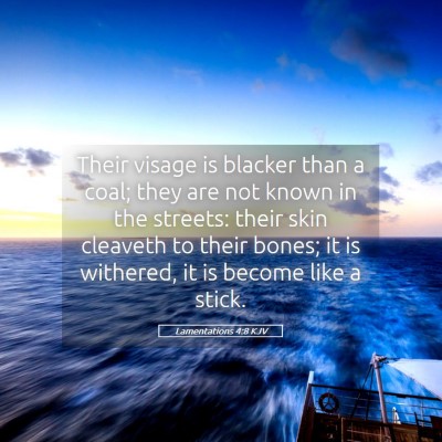 Picture 05 - Lamentations 4:8 KJV - Their visage is blacker than a coal; they are not - Bible Verse Picture