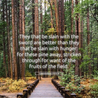 Picture 05 - Lamentations 4:9 KJV - They that be slain with the sword are better than - Bible Verse Picture