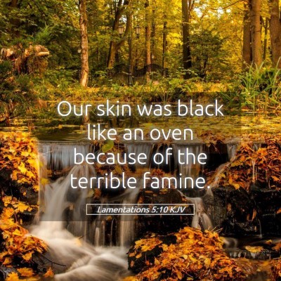Picture 05 - Lamentations 5:10 KJV - Our skin was black like an oven because of the - Bible Verse Picture
