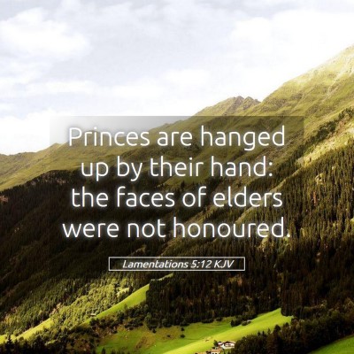Picture 05 - Lamentations 5:12 KJV - Princes are hanged up by their hand: the faces of - Bible Verse Picture