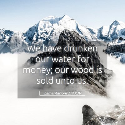 Picture 05 - Lamentations 5:4 KJV - We have drunken our water for money; our wood is - Bible Verse Picture