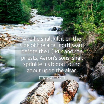 Picture 05 - Leviticus 1:11 KJV - And he shall kill it on the side of the altar - Bible Verse Picture