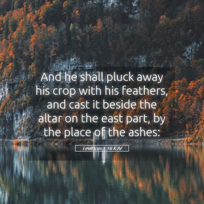 Picture 05 - Leviticus 1:16 KJV - And he shall pluck away his crop with his - Bible Verse Picture