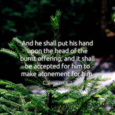 Picture 05 - Leviticus 1:4 KJV - And he shall put his hand upon the head of the - Bible Verse Picture