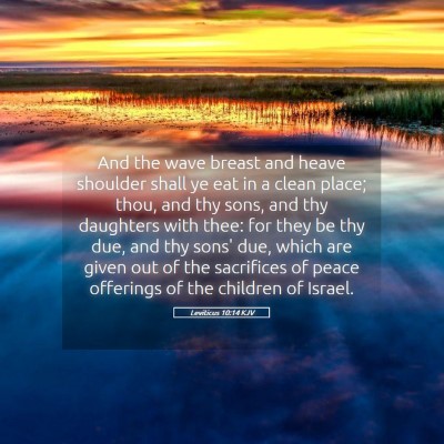 Picture 05 - Leviticus 10:14 KJV - And the wave breast and heave shoulder shall ye - Bible Verse Picture
