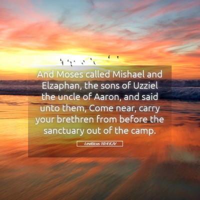 Picture 05 - Leviticus 10:4 KJV - And Moses called Mishael and Elzaphan, the sons - Bible Verse Picture