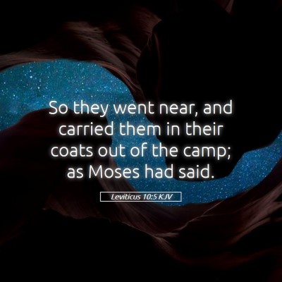 Picture 05 - Leviticus 10:5 KJV - So they went near, and carried them in their - Bible Verse Picture