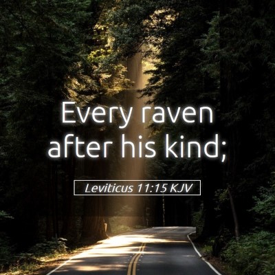 Picture 05 - Leviticus 11:15 KJV - Every raven after his - Bible Verse Picture