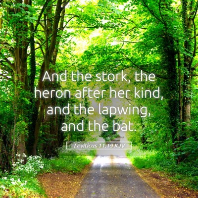 Picture 05 - Leviticus 11:19 KJV - And the stork, the heron after her kind, and the - Bible Verse Picture