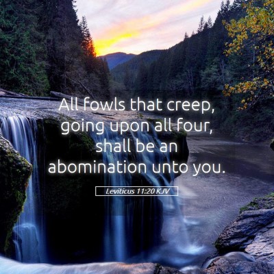 Picture 05 - Leviticus 11:20 KJV - All fowls that creep, going upon all four, shall - Bible Verse Picture