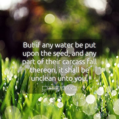 Picture 05 - Leviticus 11:38 KJV - But if any water be put upon the seed, and any - Bible Verse Picture
