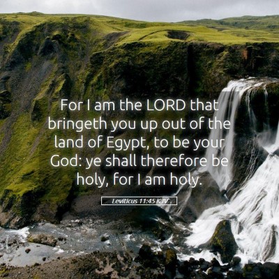 Picture 05 - Leviticus 11:45 KJV - For I am the LORD that bringeth you up out of the - Bible Verse Picture