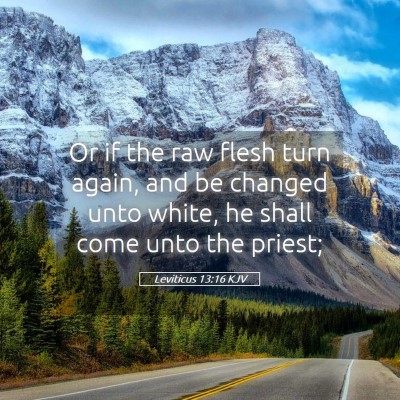 Picture 05 - Leviticus 13:16 KJV - Or if the raw flesh turn again, and be changed - Bible Verse Picture