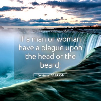 Picture 05 - Leviticus 13:29 KJV - If a man or woman have a plague upon the head or - Bible Verse Picture