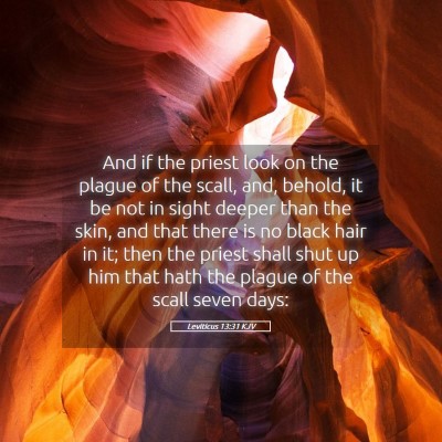 Picture 05 - Leviticus 13:31 KJV - And if the priest look on the plague of the - Bible Verse Picture