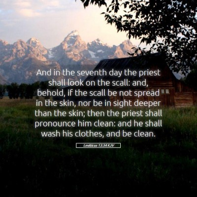 Picture 05 - Leviticus 13:34 KJV - And in the seventh day the priest shall look on - Bible Verse Picture