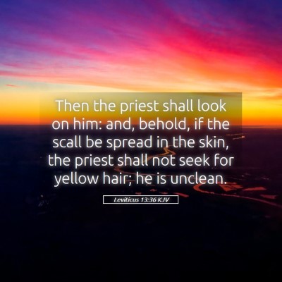 Picture 05 - Leviticus 13:36 KJV - Then the priest shall look on him: and, behold, - Bible Verse Picture
