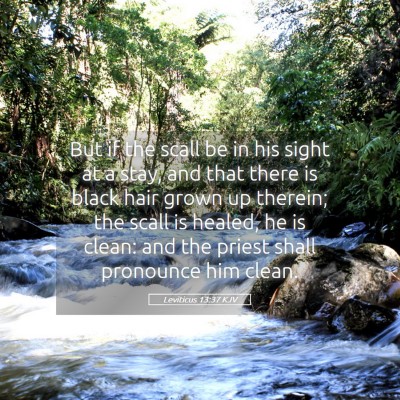 Picture 05 - Leviticus 13:37 KJV - But if the scall be in his sight at a stay, and - Bible Verse Picture