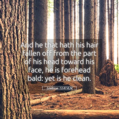 Picture 05 - Leviticus 13:41 KJV - And he that hath his hair fallen off from the - Bible Verse Picture