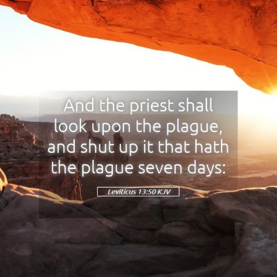 Picture 05 - Leviticus 13:50 KJV - And the priest shall look upon the plague, and - Bible Verse Picture