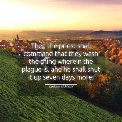 Picture 05 - Leviticus 13:54 KJV - Then the priest shall command that they wash the - Bible Verse Picture