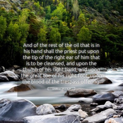 Picture 05 - Leviticus 14:17 KJV - And of the rest of the oil that is in his hand - Bible Verse Picture