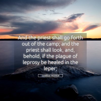 Picture 05 - Leviticus 14:3 KJV - And the priest shall go forth out of the camp; - Bible Verse Picture
