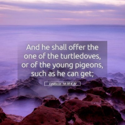 Picture 05 - Leviticus 14:30 KJV - And he shall offer the one of the turtledoves, or - Bible Verse Picture