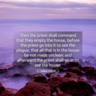 Picture 05 - Leviticus 14:36 KJV - Then the priest shall command that they empty the - Bible Verse Picture