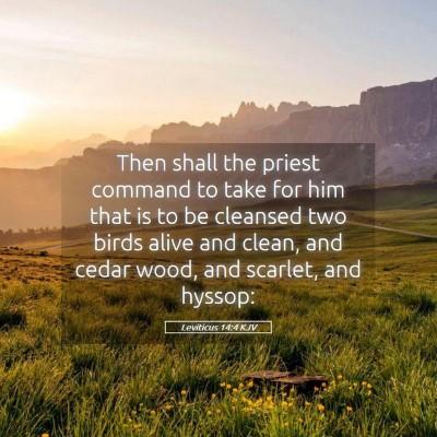 Picture 05 - Leviticus 14:4 KJV - Then shall the priest command to take for him - Bible Verse Picture